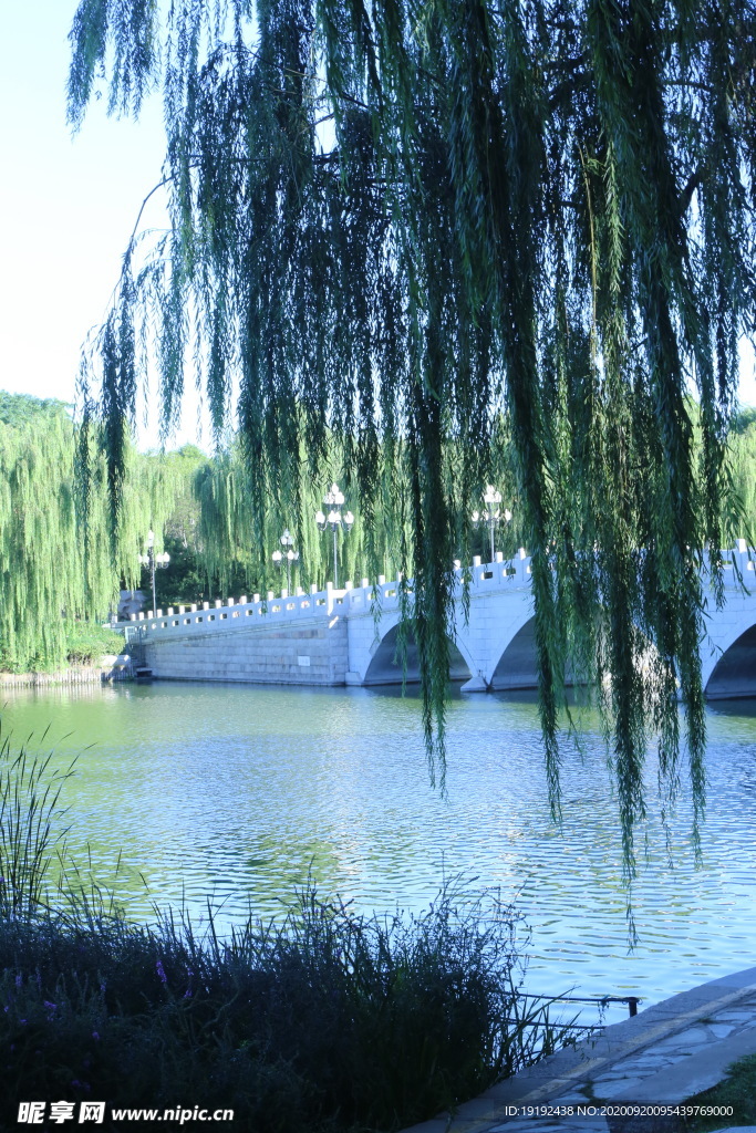 园林风景