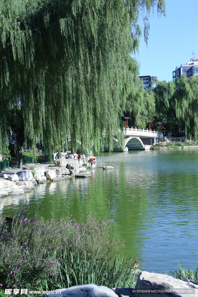 园林风景