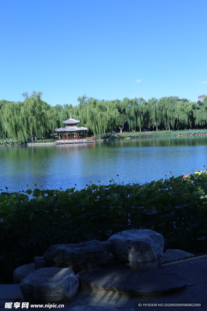 园林风景