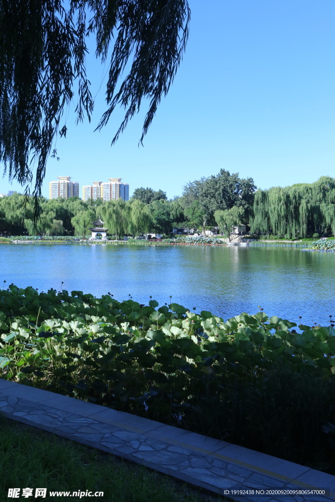 园林风景