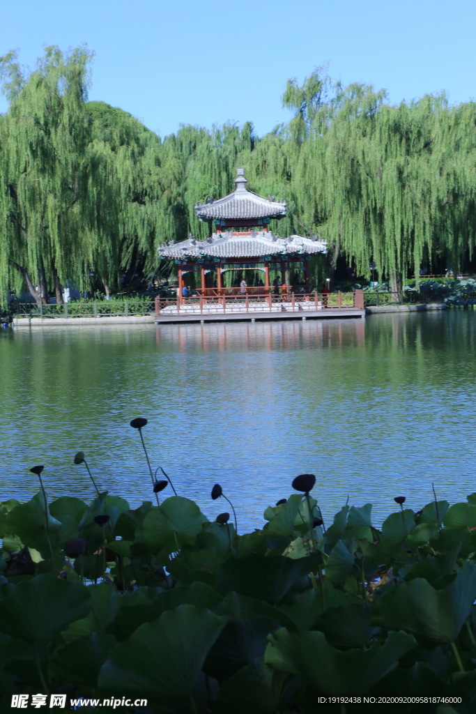 园林风景