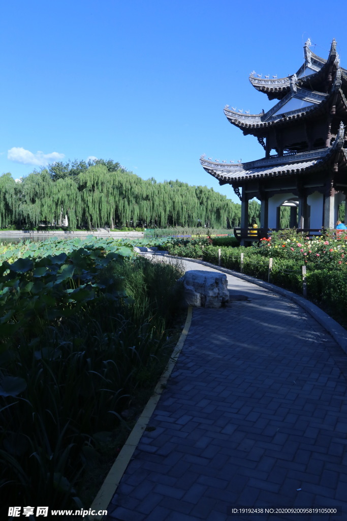 园林风景