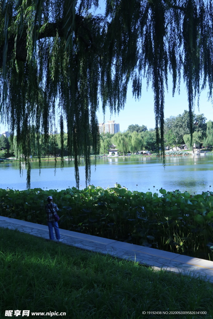 园林风景
