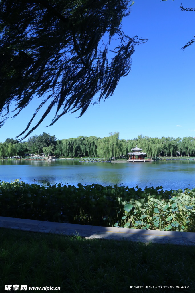 园林风景