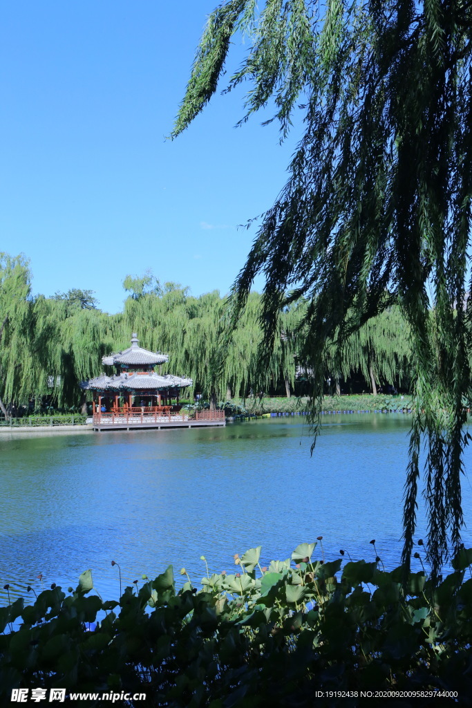 园林风景