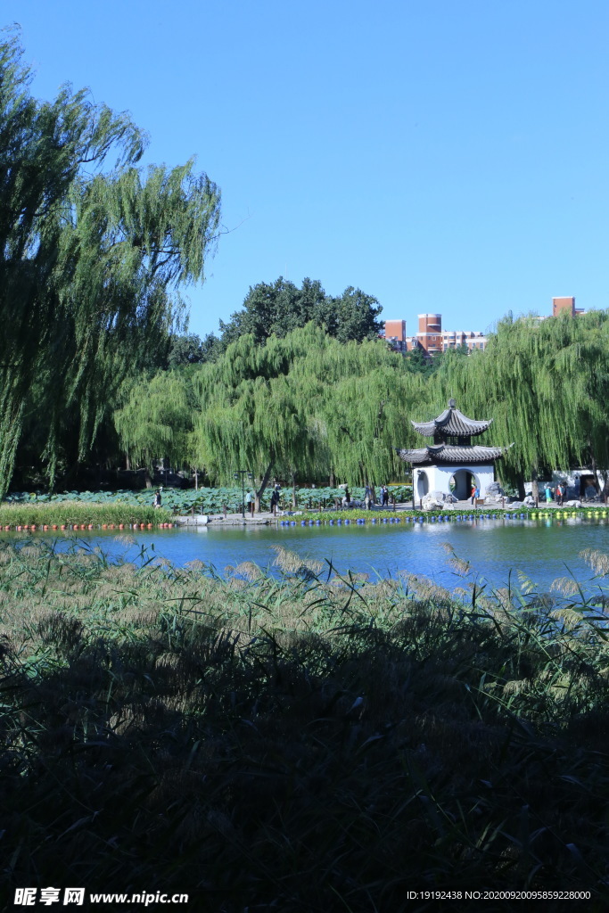 园林风景