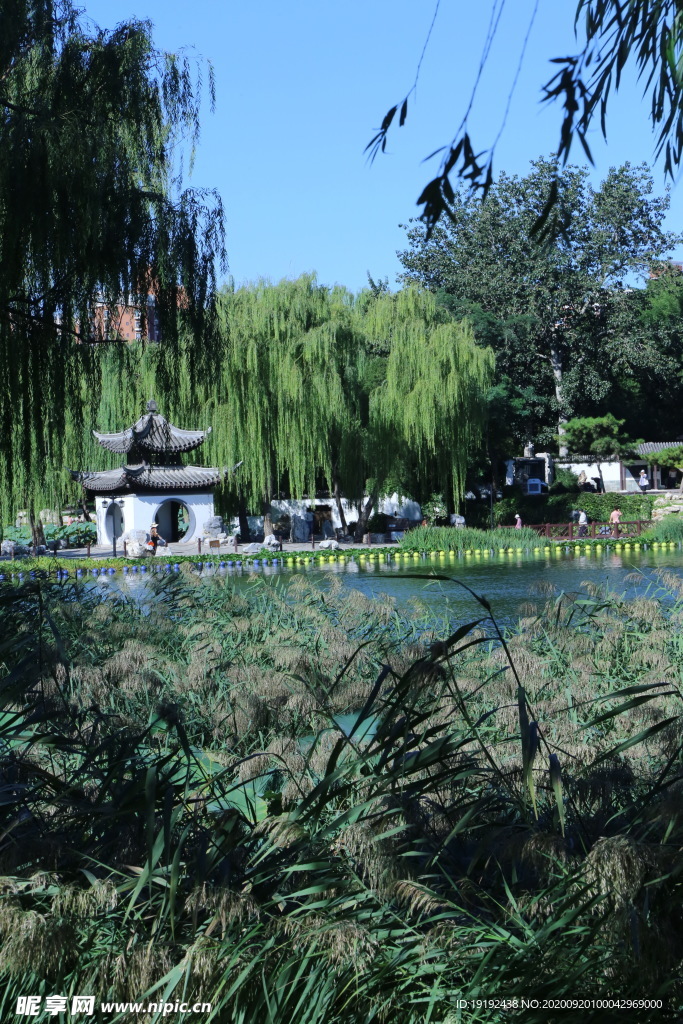 园林风景