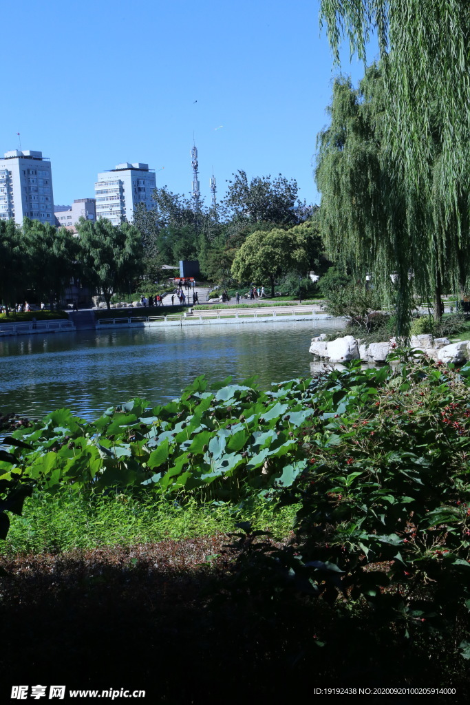园林风景