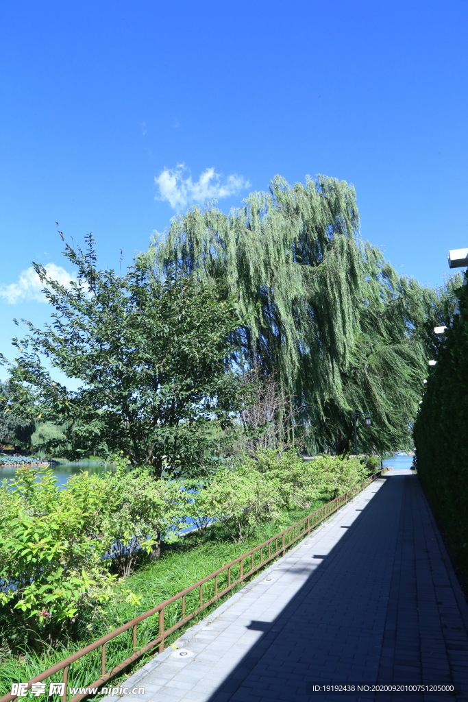 陶然亭风景