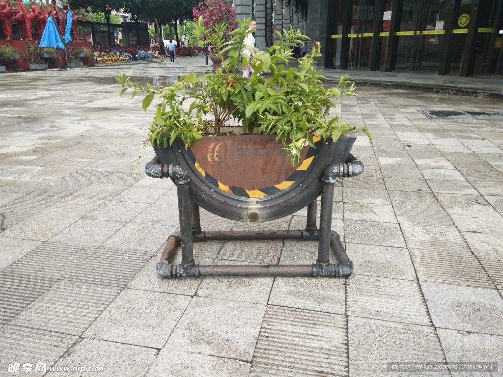 花卉