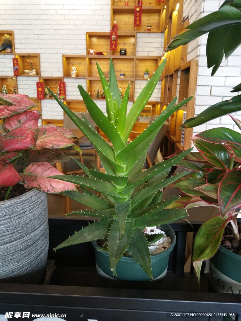 花