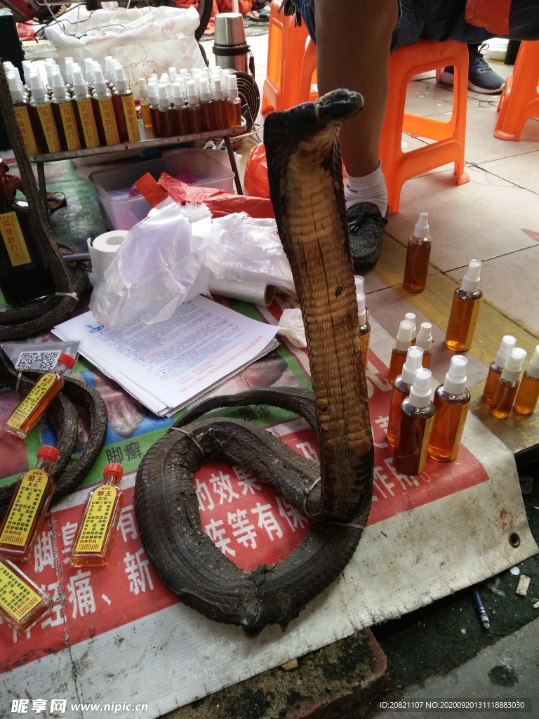 蛇