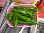 青椒