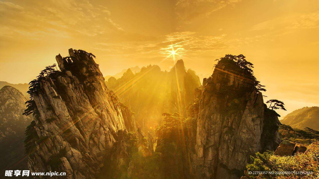 山