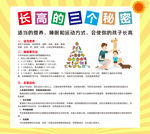 儿童 长高的三个秘密