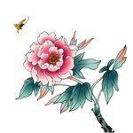 牡丹花