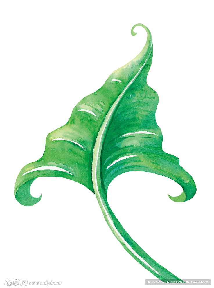 简约绿植装饰画