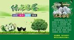 绿壳鸡蛋