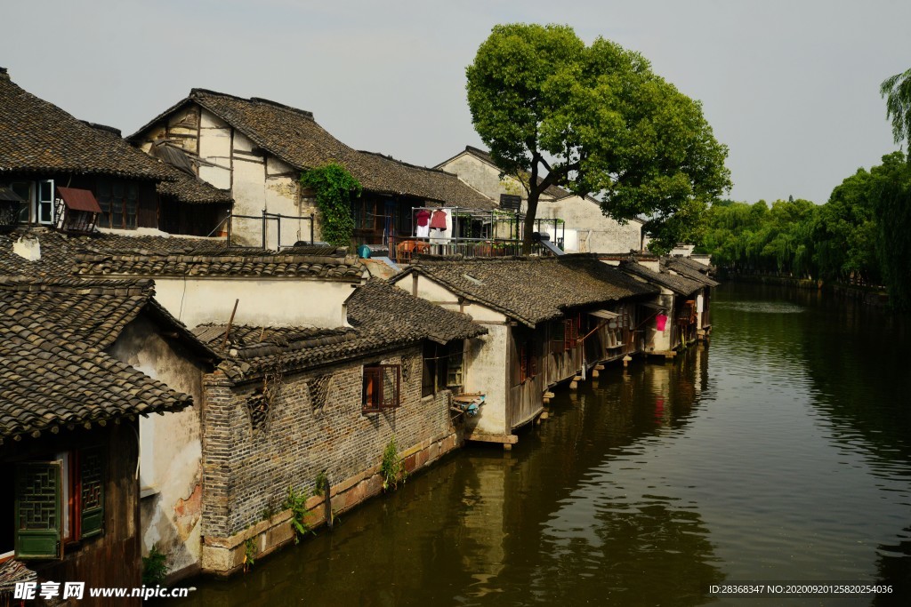 乌镇风景