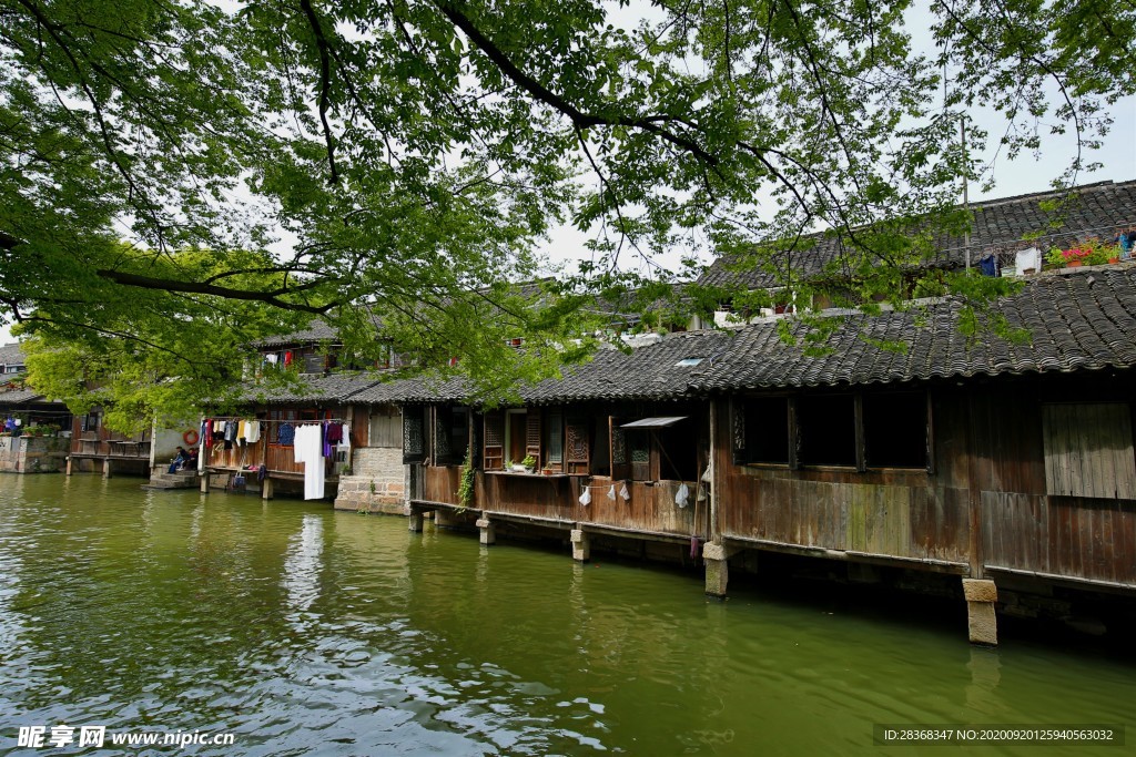 乌镇风景