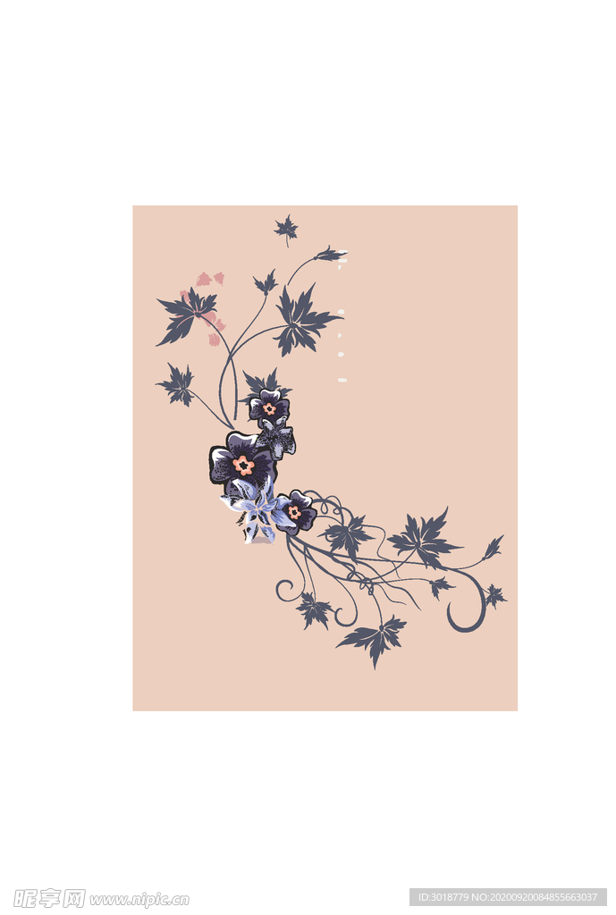 花卉组合