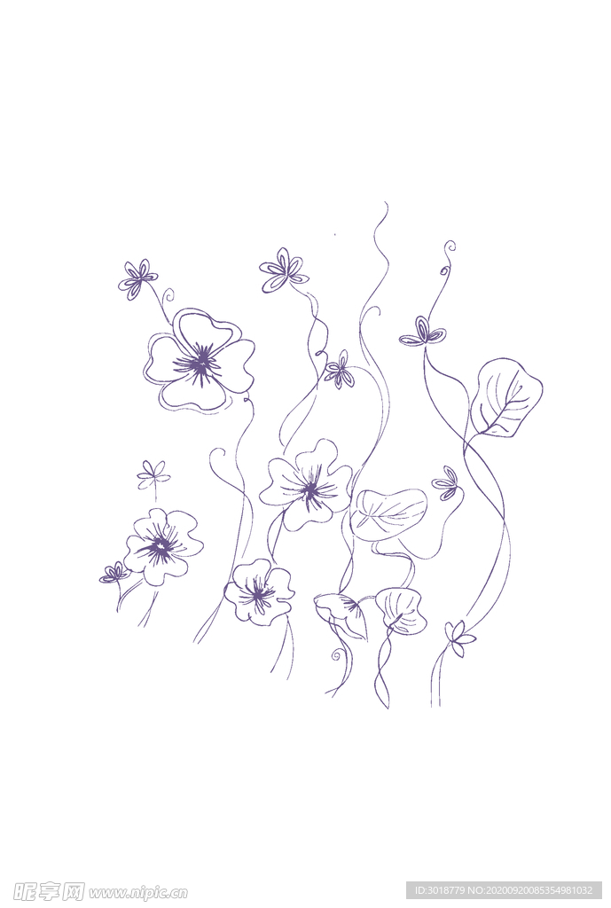 花卉组合