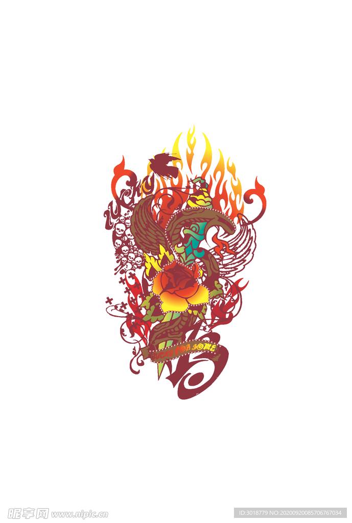 花卉组合