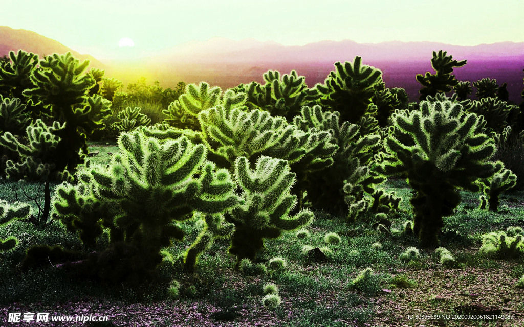 大自然风景