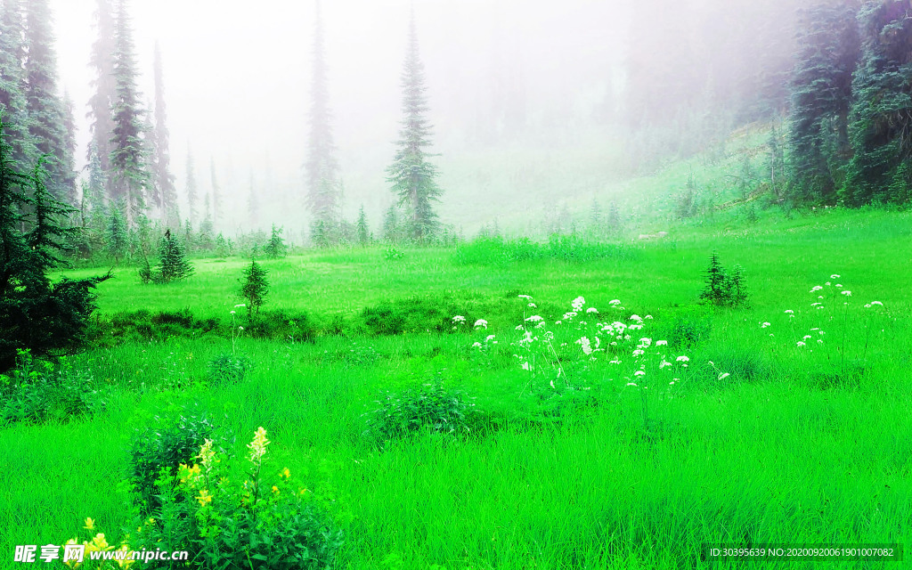 大自然风景