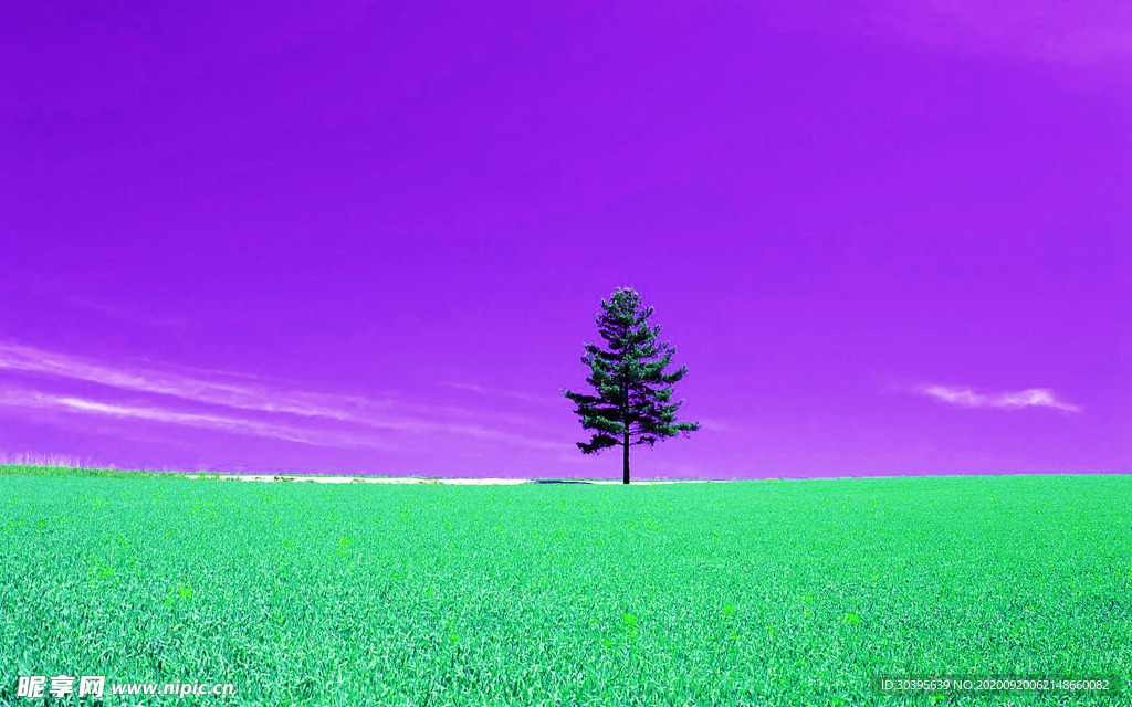大自然风景