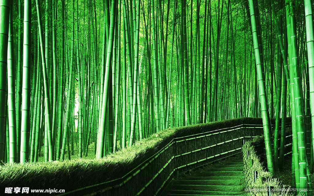 大自然风景