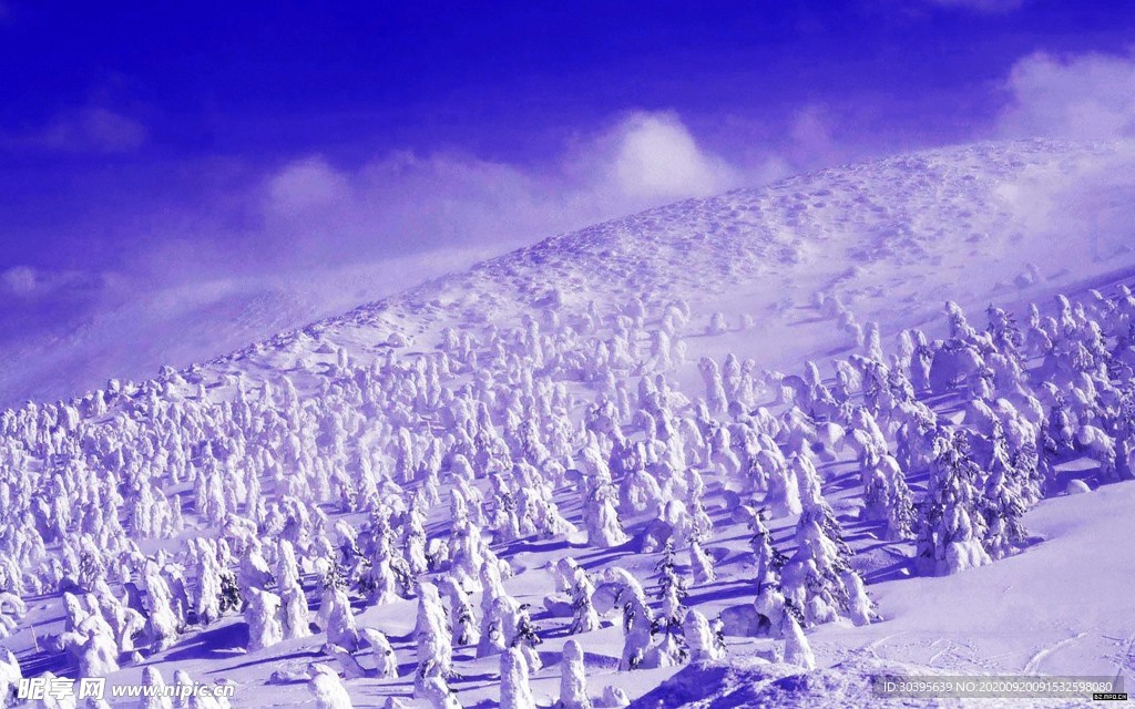 大自然风景