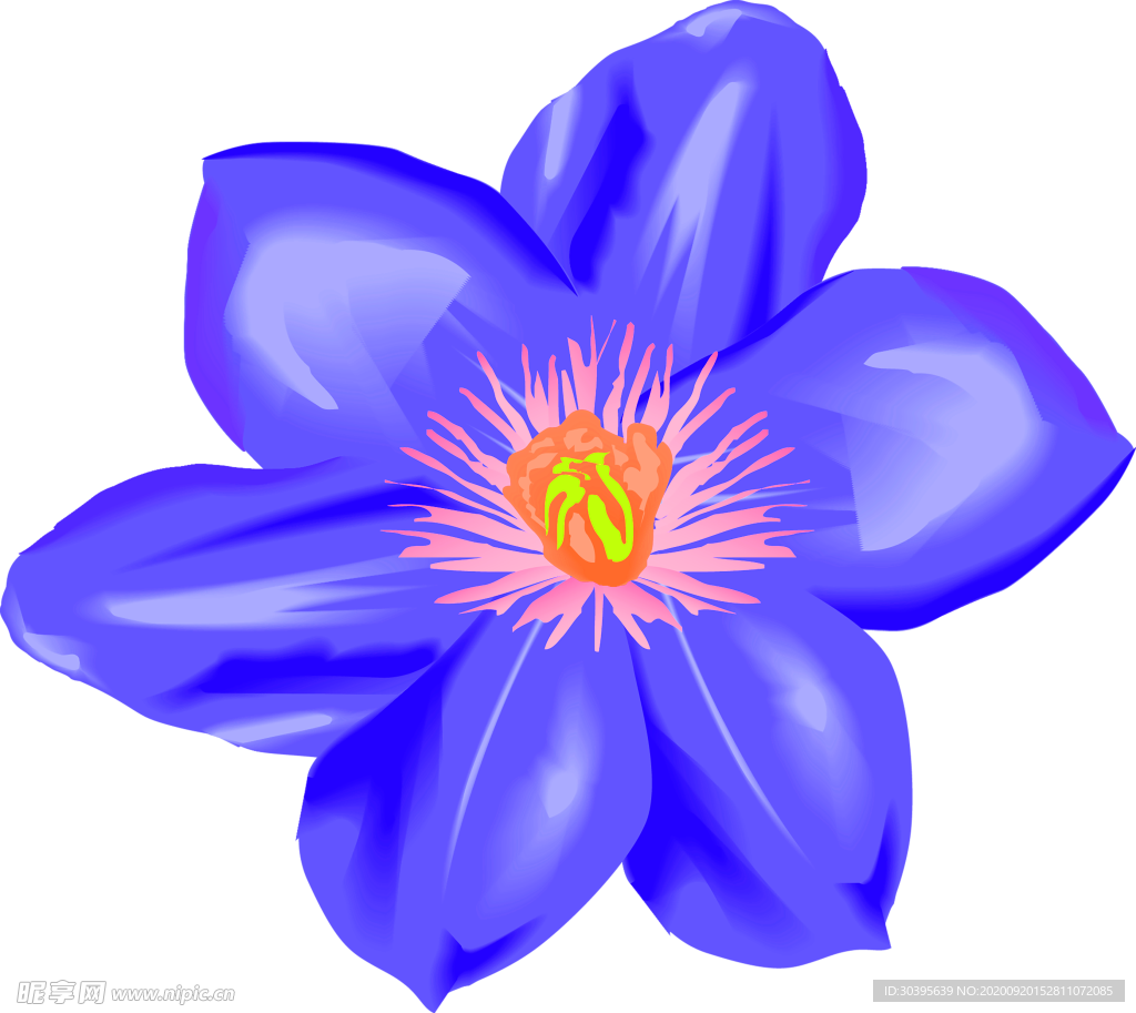 花素材