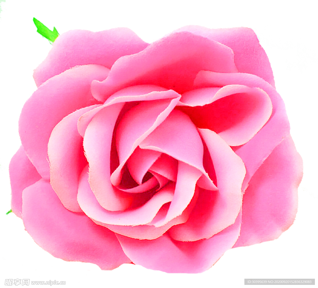 花素材