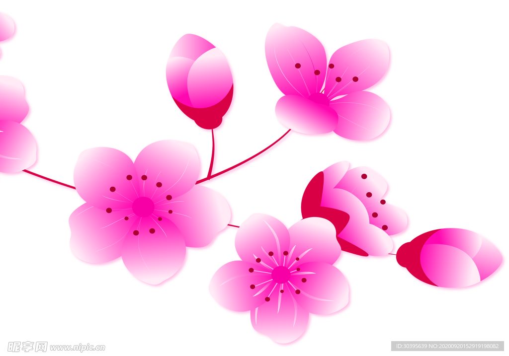 花素材