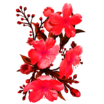 花素材