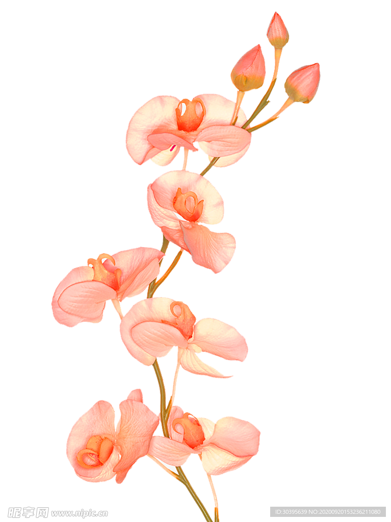花素材