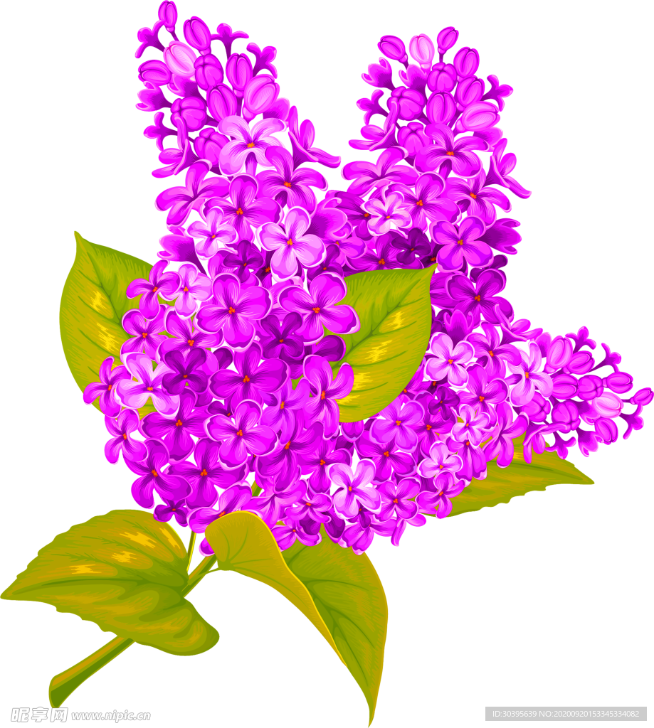 花素材