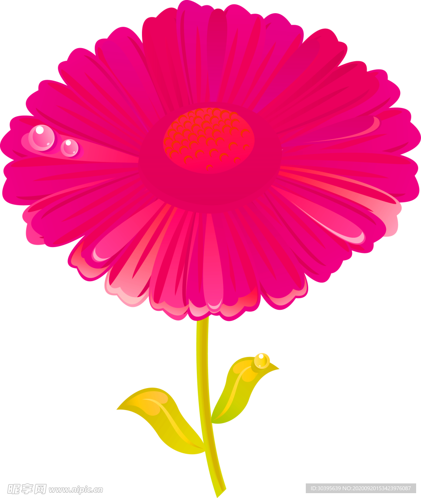 花素材