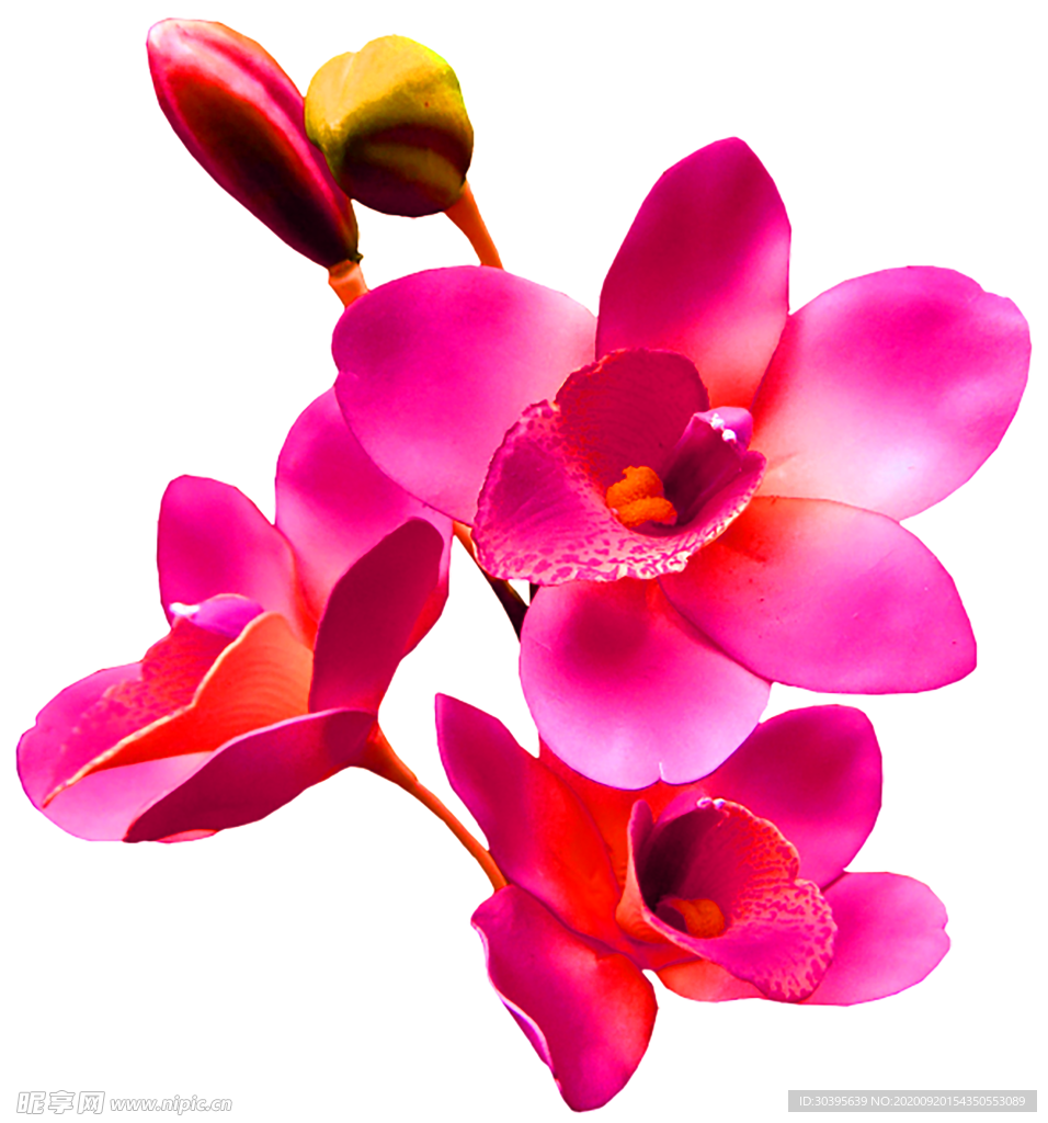 花素材