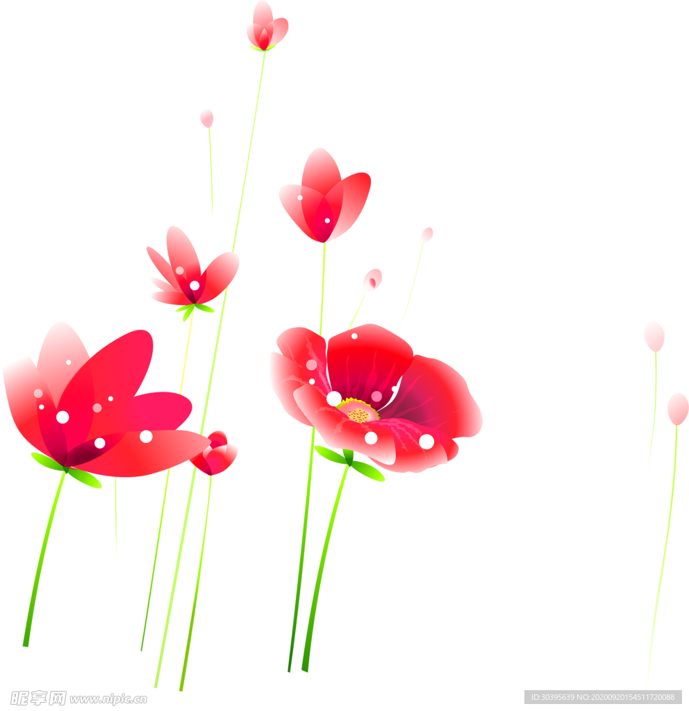 花素材