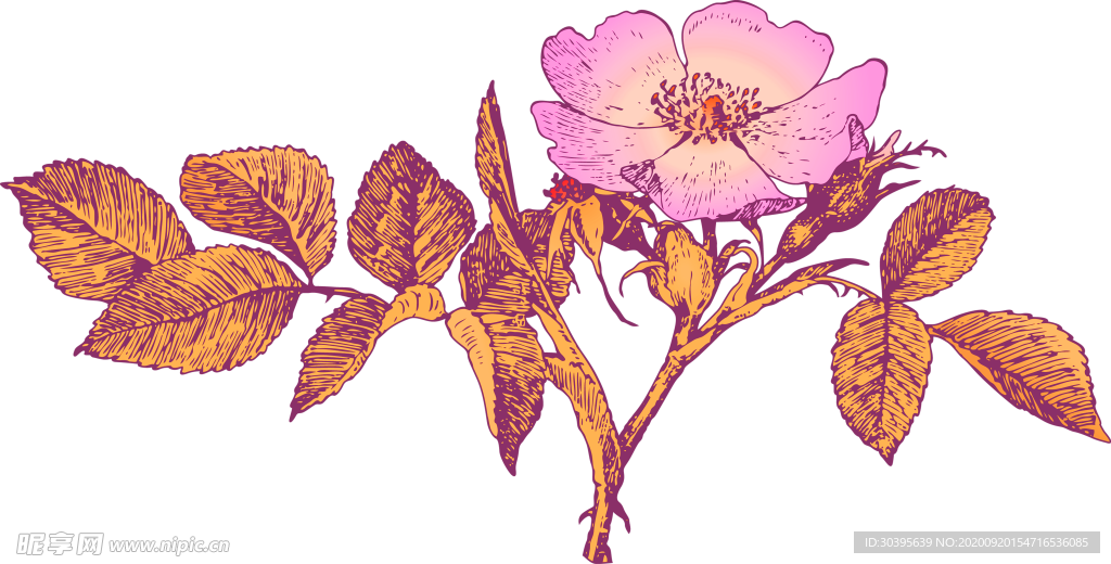 花素材