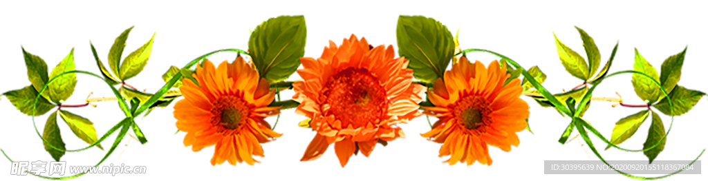 花素材