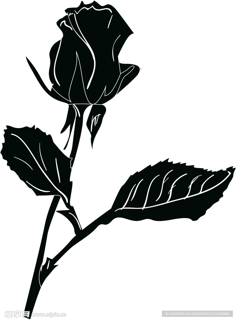 花素材