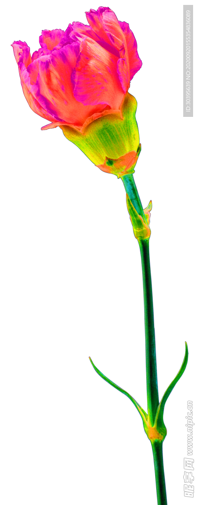 花素材