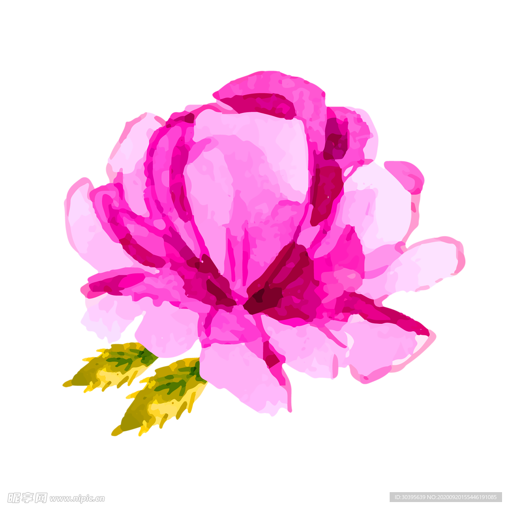 花素材