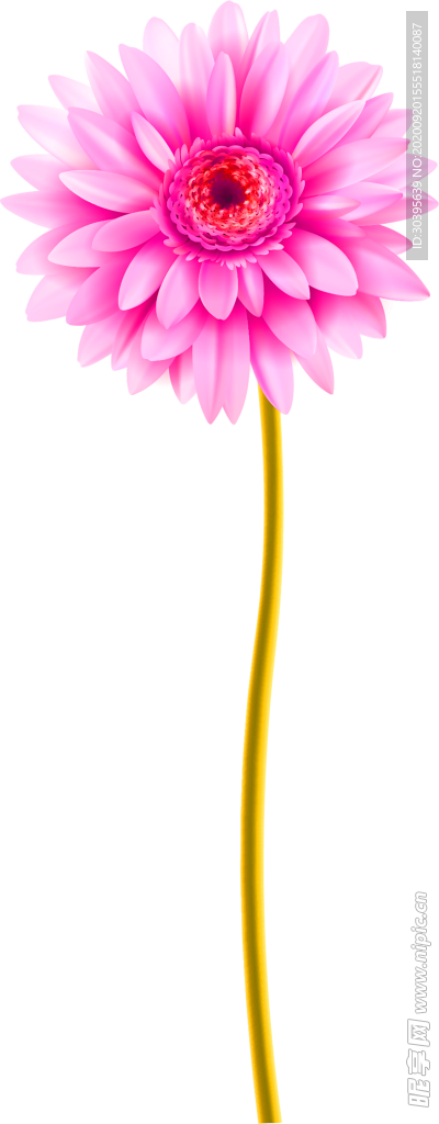 花素材