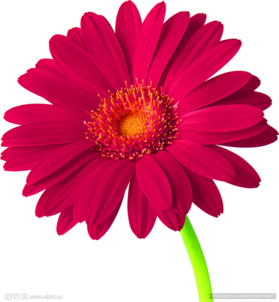 花素材