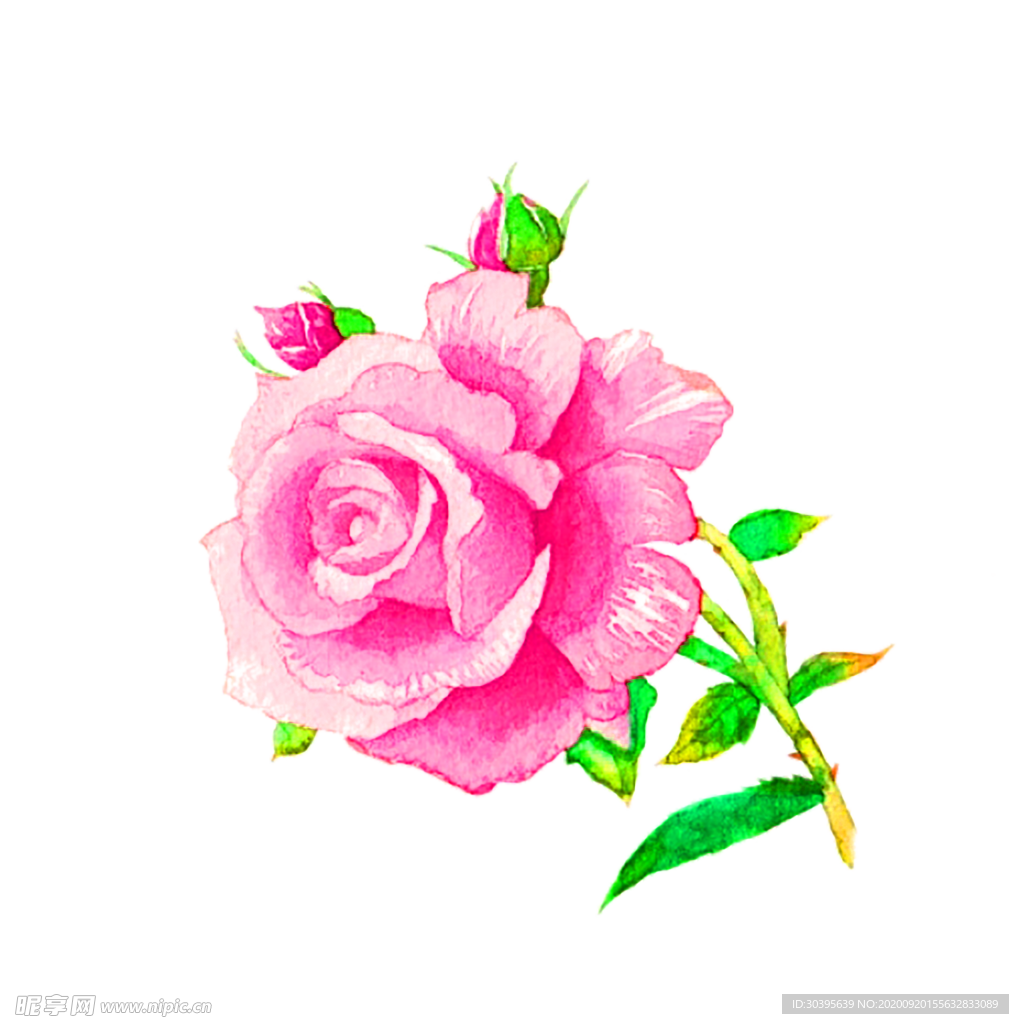 花素材