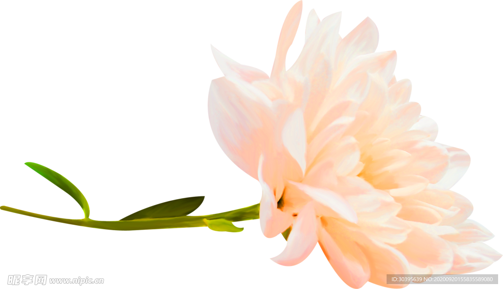 花素材